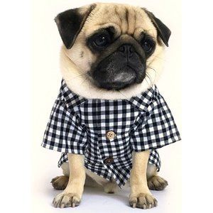 Dog Threads Shirt Sz Large (24-28" Chest) Black/White Gingham New